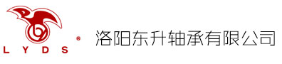 洛阳东升轴承有限公司